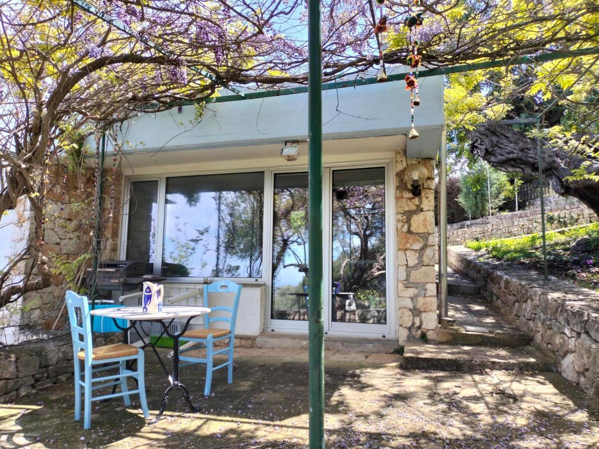 Le Finestre Sul Mare Acomodação com café da manhã Conversano Exterior foto